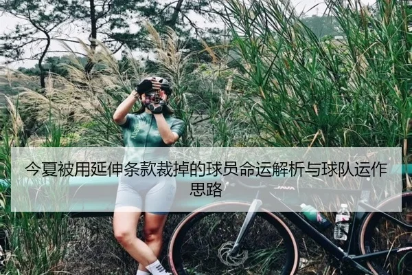 今夏被用延伸条款裁掉的球员命运解析与球队运作思路
